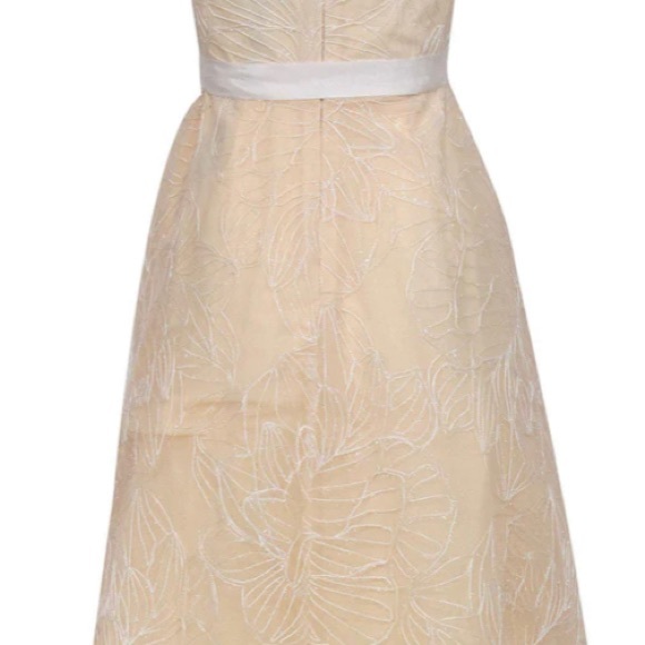 BCBGMaxAzria -Cream Midi Dress w/ Metallic Floral Embroidered Tulle Overlay Sz 0 - Picture 3 of 8